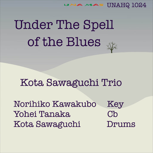 十四岁女儿小娟的小说叫什么名字
